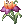Flor Misteriosa