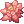 Flor Elegante